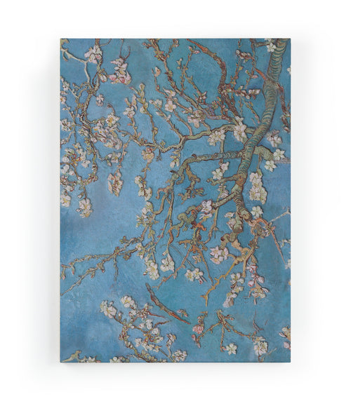 Canvas 60x40 Amandel - vtwonen shop