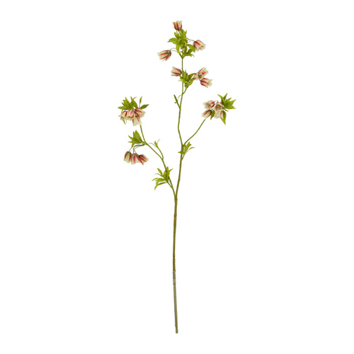Maxifleur Enkianthus 80cm Kunsttak Groen Rood
