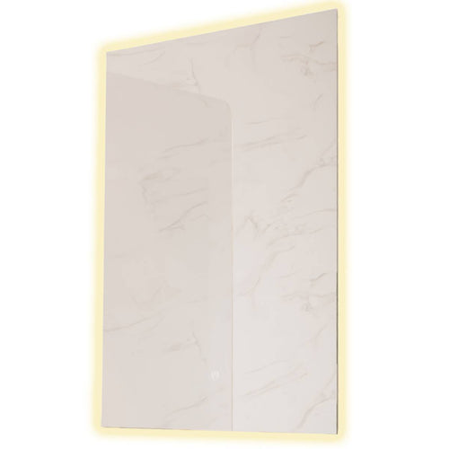 LOMAZOO badkamerspiegel Cannes - met LED verlichting - rechthoekig - 60 x 80 cm