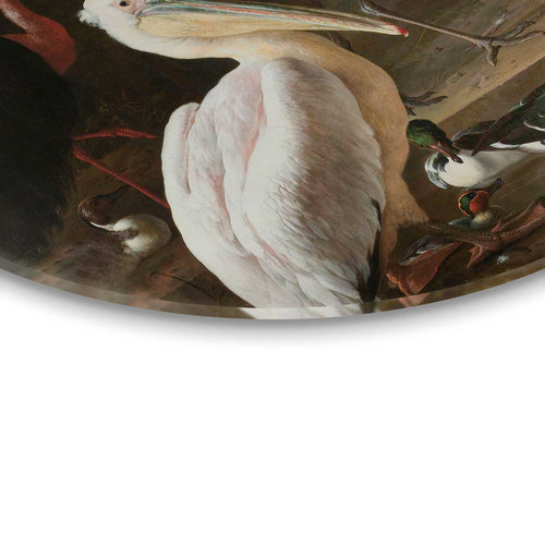 Reinders glasschilderij d'Hondecoeter - de Pelikaan - Ø 50cm