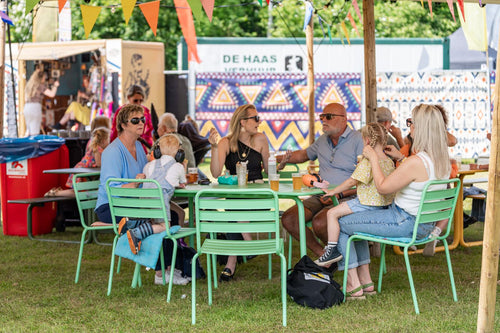 MaximaVida metalen tuinstoel Max XXL cactus - doos per 2 stuks - vtwonen shop