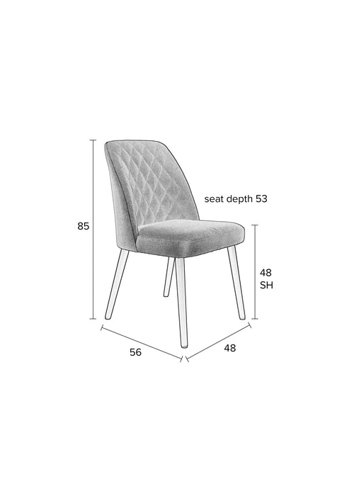 Housecraft Living Conway Eetkamerstoelen Donkergrijs - Set van 2 - vtwonen shop