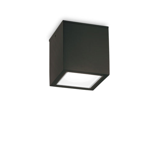 Outdoor Grote Opbouwdownlight Zwart IP54, GU10