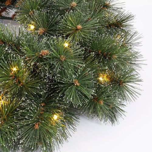 Black Box Trees Glendon Kerstkrans met Verlichting - Kerstversiering met Besneeuwd Effect voor Kerst - Deurkrans voor Binnen op Batterijen - Ronde