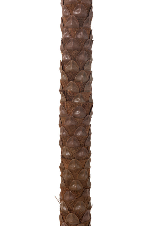 J-Line palmboom 4kokosnoten in pot - kunststof - groen