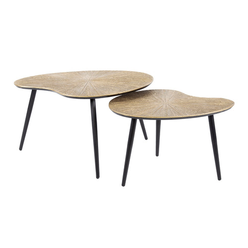 Giga Meubel Salontafel Ray Metal - Niervormig - Brons Metaal - Set van 2