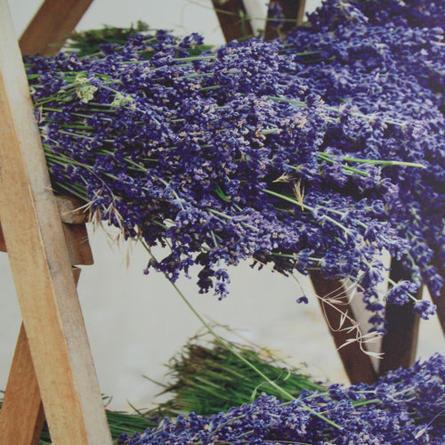 Art for the Home Buitencanvas - Gedroogde Lavendel - 70x50cm