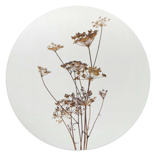 Reinders glasschilderij Berenklauw - Ø 50cm