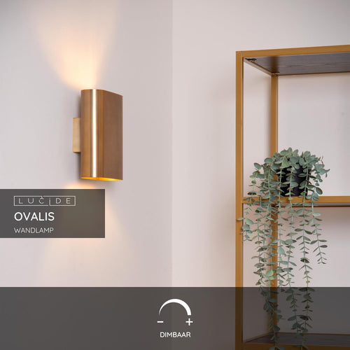 Lucide wandlamp OVALIS - 2xE14 - Mat Goud / Messing - vtwonen shop