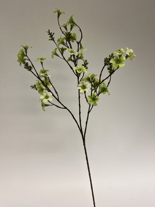 My Flowers.shop Groene manuka tak zijden bloem | Lengte 86 centimeter | Per stuk - vtwonen shop