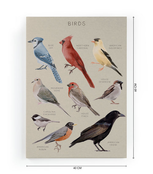 Canvas 60x40 Afdruk Vogels - vtwonen shop