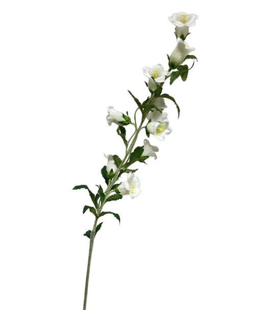 My Flowers.shop Witte campanula zijden bloem | Lengte 86 centimeter | Per stuk - vtwonen shop