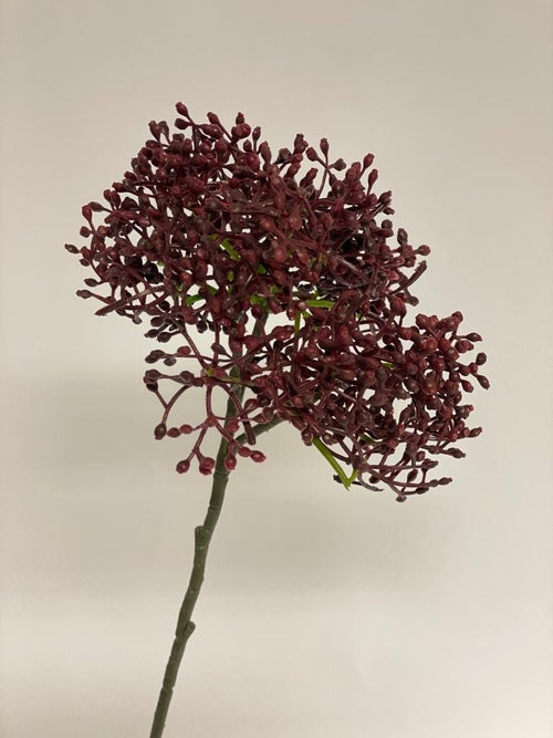 My Flowers.shop Bordeauxkleurige skimmia zijden bloem | Lengte 54 centimeter | Per stuk - vtwonen shop