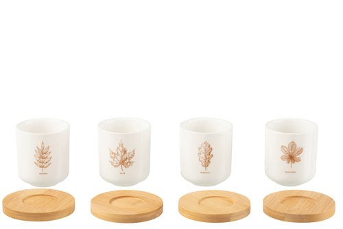 J-Line kopje + schoteltje Blad - keramiek - bruin/wit - doos van 4 - vtwonen shop