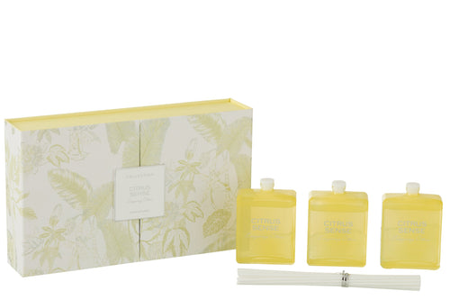 J-Line geurstokjes Citrus Sense - Energizing Citrus - glas - geel - doos van 3