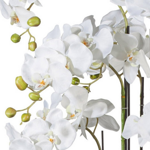 Flourify - Kunstbloem - Orchidee - 110 cm
