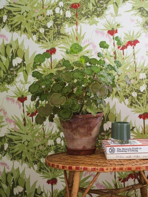 Borastapeter behang bladeren groen - 53 cm x 10.05 m - 660753 - vtwonen shop