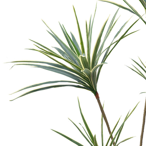 Sia Deco - Yucca boom in pot 155 cm - Groen  - Polyester - H155 - vtwonen shop