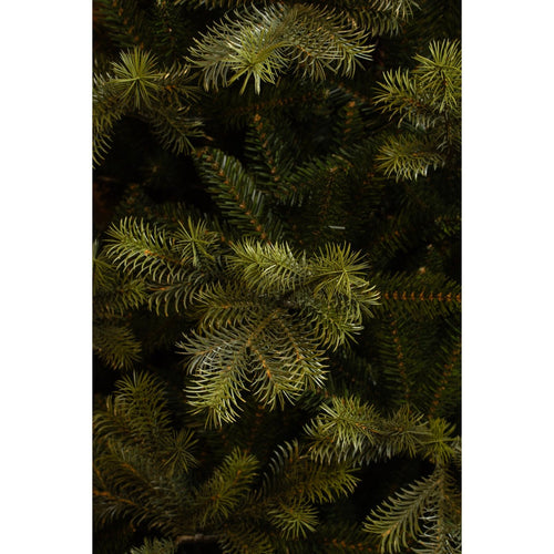 Black Box Trees Clive Kunstkerstboom - Kunst Kerstboom H155 x Ø109 cm - Groen