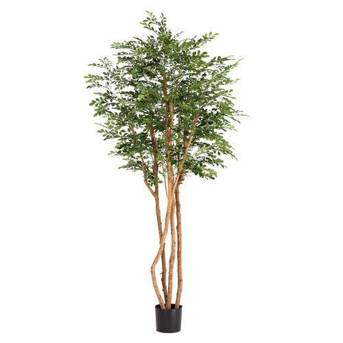 Maxifleur Murraya Kunstboom Deluxe 210cm in pot
