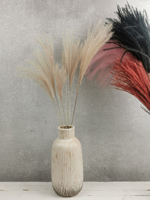 My Flowers.shop Gedroogde Miscanthus 10 stuks natuurlijk - vtwonen shop