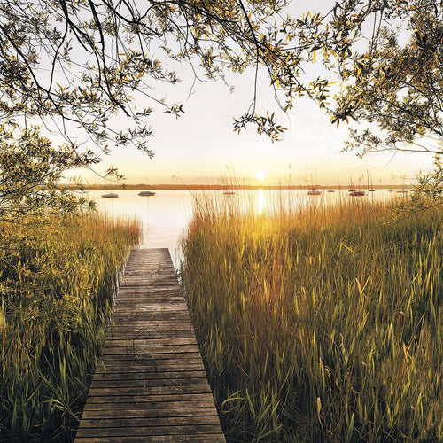 Sanders & Sanders fotobehang oever van het meer groen - 300 x 250 cm - 612526