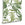 Graham & Brown Vliesbehang - Midsummer Fern Lush - 10mx52cm