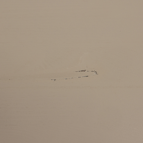 vtwonen kledingkast 100 cm Daily - Grenen - Dakargrau - 200x100x58