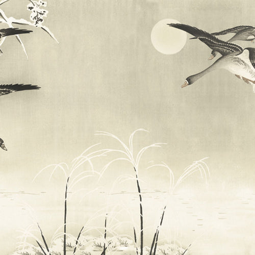 Sanders & Sanders fotobehang vogels beige - 424 x 280 cm - 640895