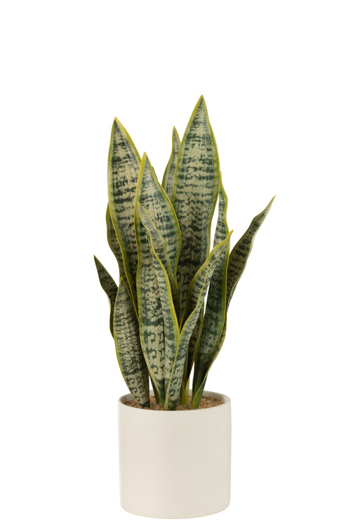 J-Line plant Sansevieria in pot - kunststof - groen - large - vtwonen shop