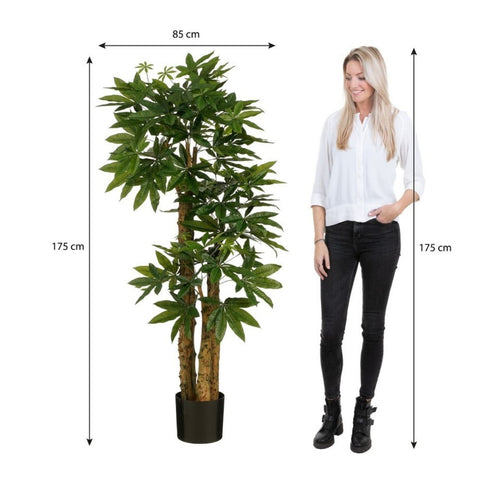 Mica Decorations Pachira Kunstplant - Kunstboom Watercacao Geldboom - Symbool voor Geluk en Welvaart - Groene Kunstplant voor Binnen - H175 x Ø85 cm -