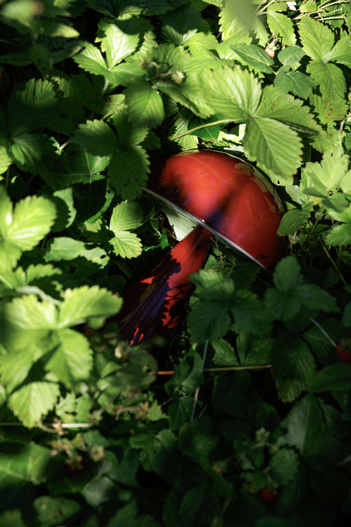 Hübsch draagbare lamp Mush - ijzer/polycarbonaat - ø15xh20cm led - vtwonen shop