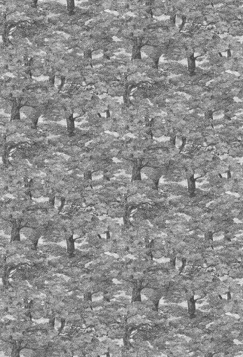 Borastapeter fotobehang jungle-motief grijs - 180 x 265 cm - 660786