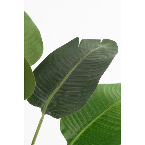 Mica Decorations Kunstplant Bananenboom - H120 x Ø30 - Groen