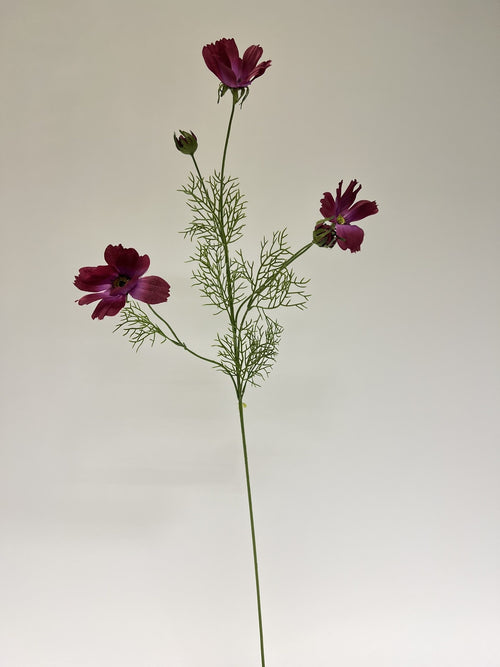 My Flowers.shop Fuchsiakleurige cosmea zijden bloem | Lengte  90 centimeter | Per stuk - vtwonen shop