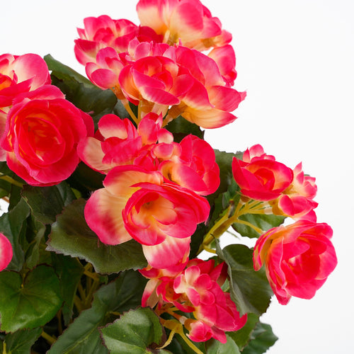 Mica Decorations Begonia Kunstplant in Bloempot Stan - H30 x Ø25 cm - Donkerroze