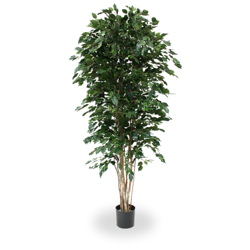 Maxifleur Ficus Exotica deluxe kunstboom 210cm - groen