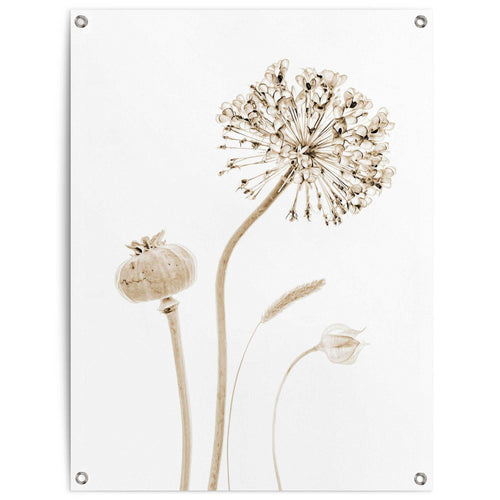 Reinders tuinposter Droogbloemen - 80x60cm