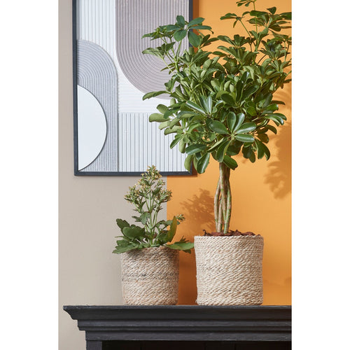 Mica Decorations Atlantic Plantenmand - Set van 2 - H20 x Ø20 cm - Jute - Crème