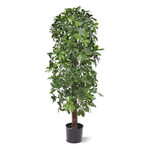 Maxifleur Schefflera kolom kunstboom 120cm - UV bestendig