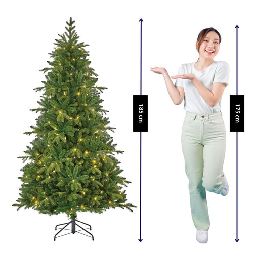 Black Box Trees Brampton Kerstboom met Verlichting - Kunstkerstboom Slank met 180 LED Lampjes en Scharnierconstructie - Kerstversiering voor Binnen -