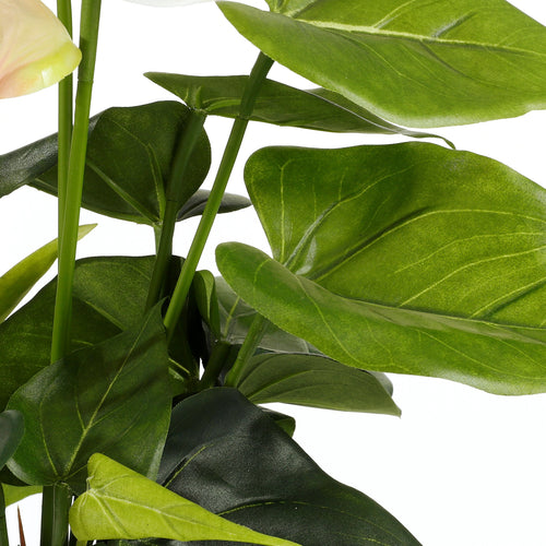 Mica Decorations Anthurium Kunstplant in Bloempot Stan - H40 x Ø30 cm - Lichtroze - vtwonen shop