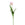 Sia Deco Tulpen Perzik Steel Kunstmatig - roze en groen - H63