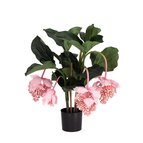 Maxifleur Medinella kunstplant 65cm Deluxe
