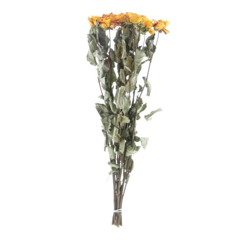 My Flowers.shop Tien gedroogde oranje rozen | Lengte 50 centimeter | Per bos te bestellen - vtwonen shop