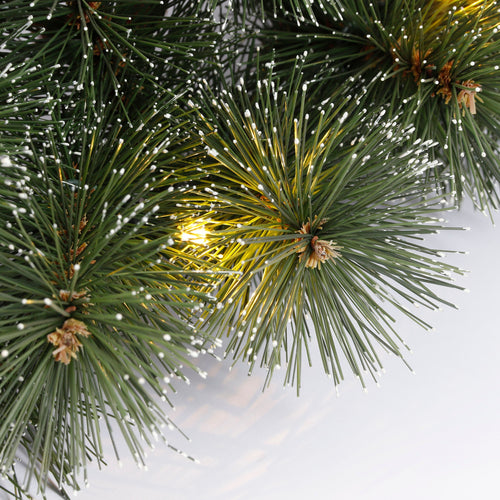 Black Box Trees Glendon Kerstkrans met Verlichting - Kerstversiering met Besneeuwd Effect voor Kerst - Deurkrans voor Binnen op Batterijen - Ronde