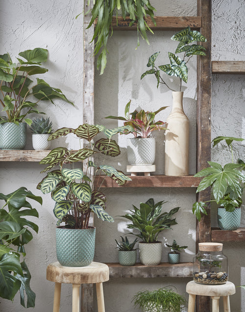 Mica Decorations Daan Bloempot - H18 x Ø19 cm - Groen - vtwonen shop