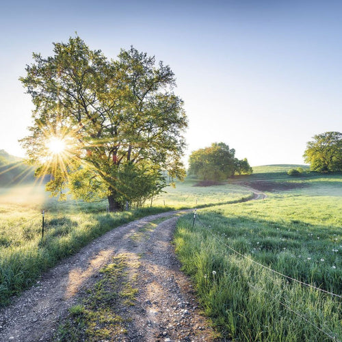 Sanders & Sanders fotobehang landschap groen - 400 x 250 cm - 612480