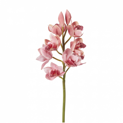 Sia Deco Kunstmatige Cymbidium Orchidee Stengel - Roze - H62 - vtwonen shop