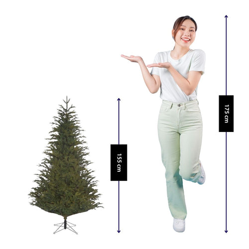 Black Box Trees Frasier Kunstboom - Kerstboom met Grillige Natuurlijke Vorm - PE Naalden en Scharnierconstructie - Kerstversiering voor Binnen - H155